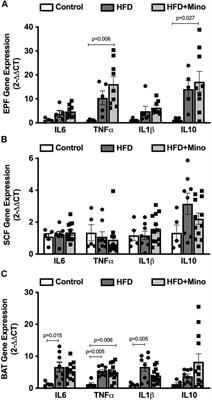 Minocycline Reduces Hypothalamic Microglia Activation and Improves Metabolic Dysfunction in High Fat Diet-Induced Obese Mice